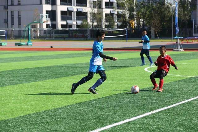 山东与邱彪签下长约 过去四年四次更换主教练