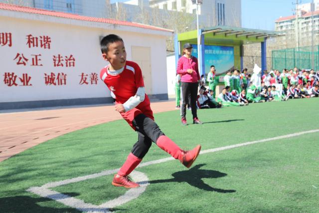 杨鸣：加快莫兰德签证办理速度 磨合需要时间